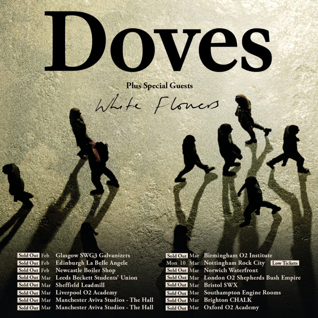 DOVES POSTER